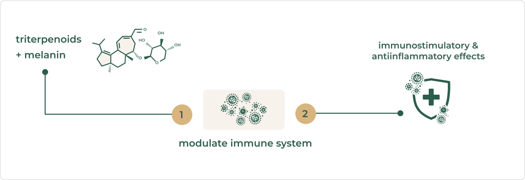 Mechanism of Wild Chaga
