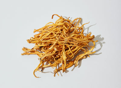 Cordyceps: Descubriendo su impacto positivo en la salud y el bienestar 