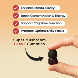 Super Mushroom Focus Gummies
