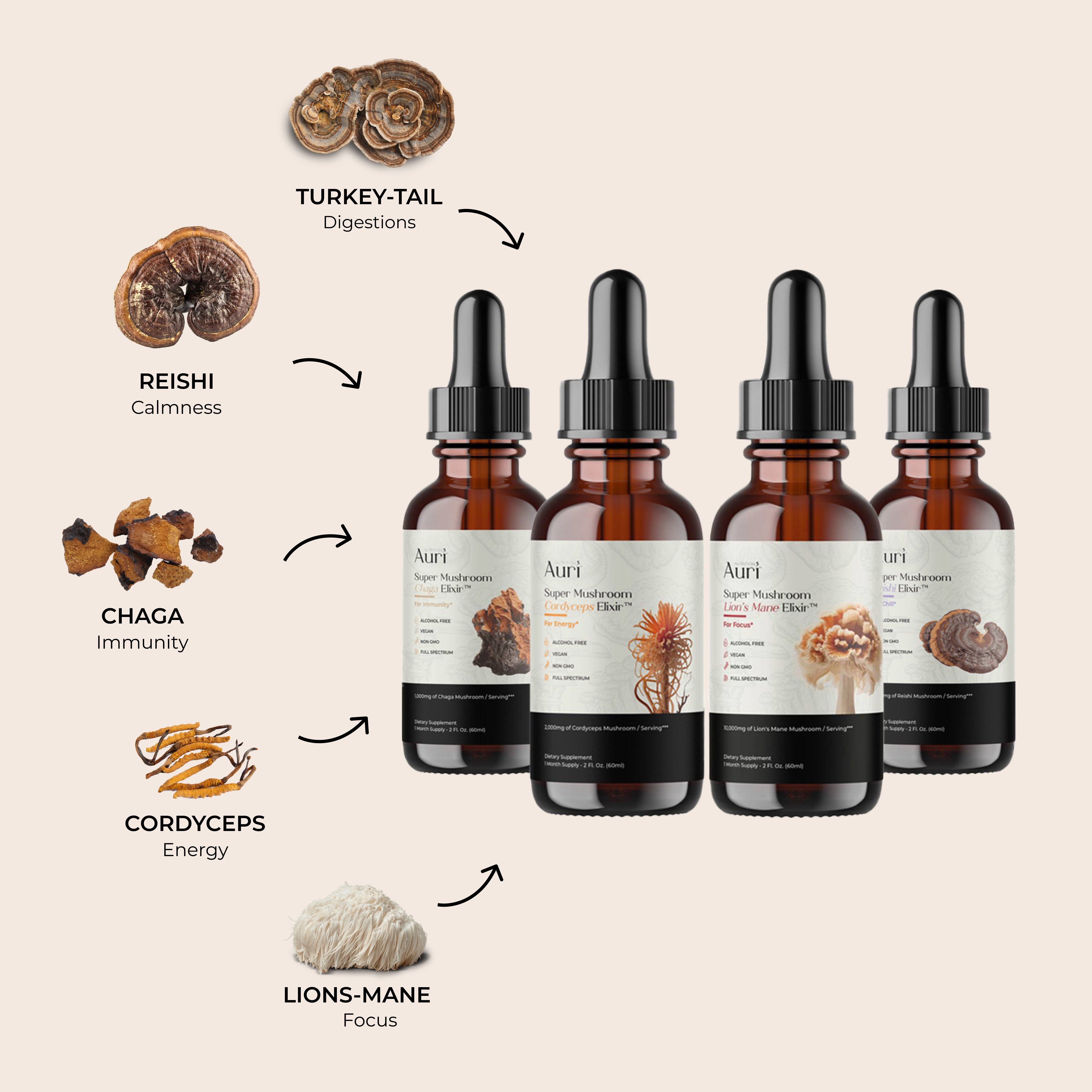 Super Mushroom Elixir Full Bundle – Auri Nutrition