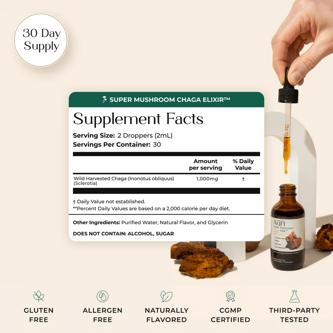 Super Mushroom Chaga Elixir™