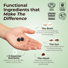 Super Mushroom Focus Gummies™ 