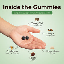 Super Mushroom Daily Gummies® for Kids