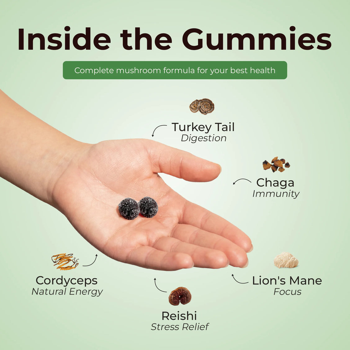 Daily Gummies for Kids