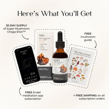 Super Mushroom Chaga Elixir™
