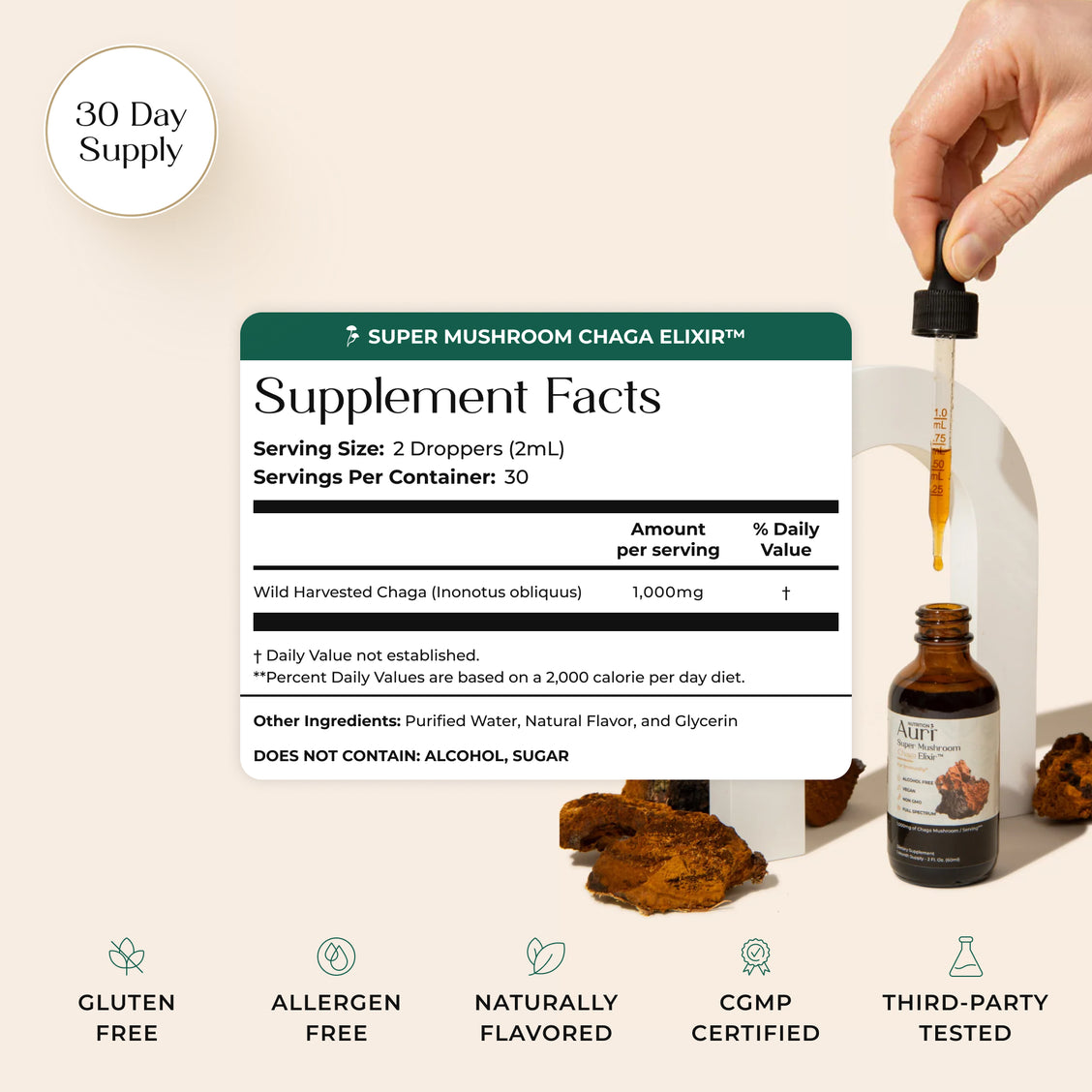 Super Mushroom Chaga Elixir™