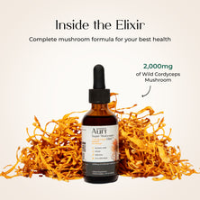 Super Mushroom Cordyceps Elixir™