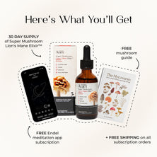 Super Mushroom Lion's Mane Elixir™