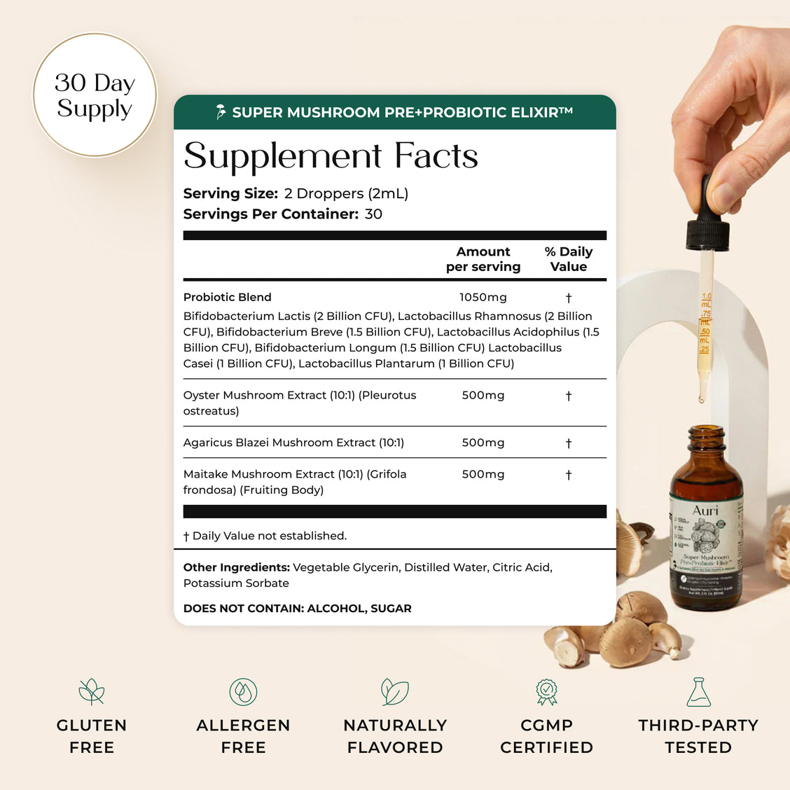 Super Mushroom Pre+Probiotic Elixir™