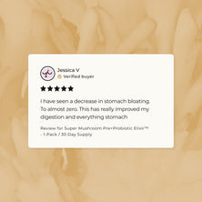 Super Mushroom Pre+Probiotic Elixir™