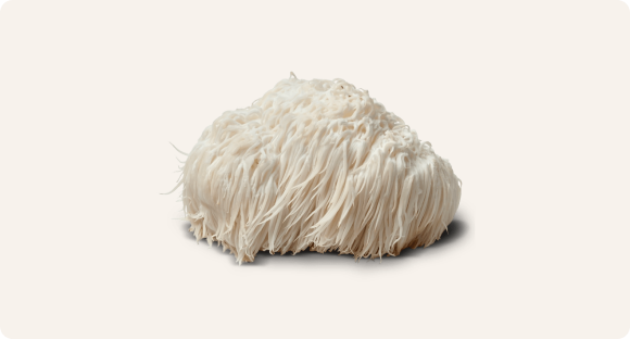 Lion's Mane