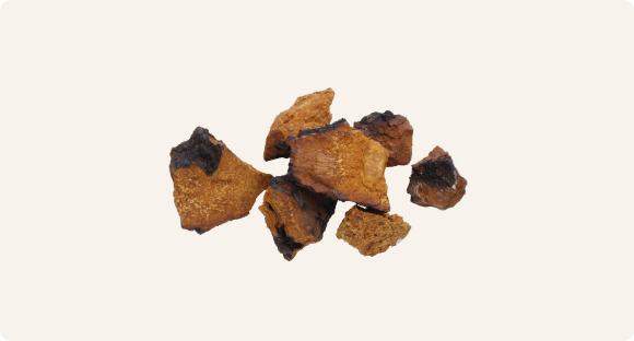 Wild Chaga
